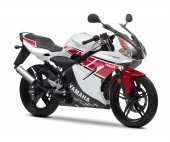 2012 Yamaha TZR50 WGP 50th Anniversary photo